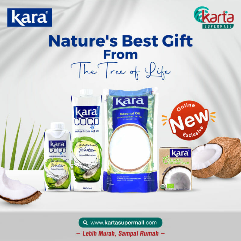 Coconut Milk Drink  Coconut Specialist – KARA