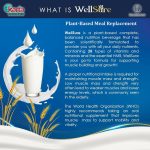 Kinohimitsu Wellsure 850g