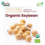 Love Earth Organic Soybean Spaghetti 200g