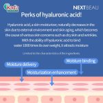Nextbeau Hyaluronic Solution Sheet Mask 22ml