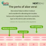 Nextbeau Aloe Vera Solution Sheet Mask 22ml X 10s Set