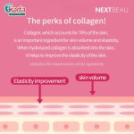 Nextbeau Collagen Solution Sheet Mask 22ml X 10s Set