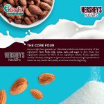 Hershey's Syrup Chocolate 623g