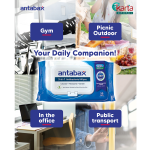 Antabax 3-in-1 Antibacterial Wipes Value Pack (4 packs x 10 wipes)