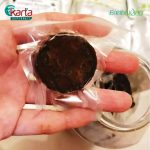 Earth Herbs Moringa Honey Gojiberry Molasses Concoction 325g