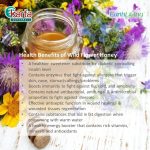 Earth Honey 100% Unprocessed Pure Raw Wild Flower Honey 220g