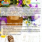 Earth Honey 100% Unprocessed Pure Raw Eucalyptus Honey 220g