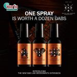 Bad Lab Dual Anti-Bacterial & Deodorising Fragrance (100ml)