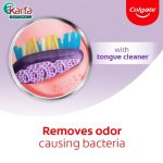 Colgate Zig Zag Antibac Toothbrush Valuepack 5s (SOFT)