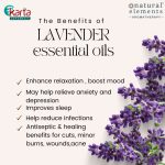 Karta Supermall Gift Set - Calm & Soothing Lavender Aromatherapy Kit