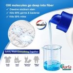 Walch OXI Anti-Bacterial Concentrated Liquid Detergent (Lemon) 3L Bottle