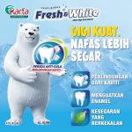Fresh & White Toothpaste 160g (Fresh Cool Mint)  + Toothbrush Pack