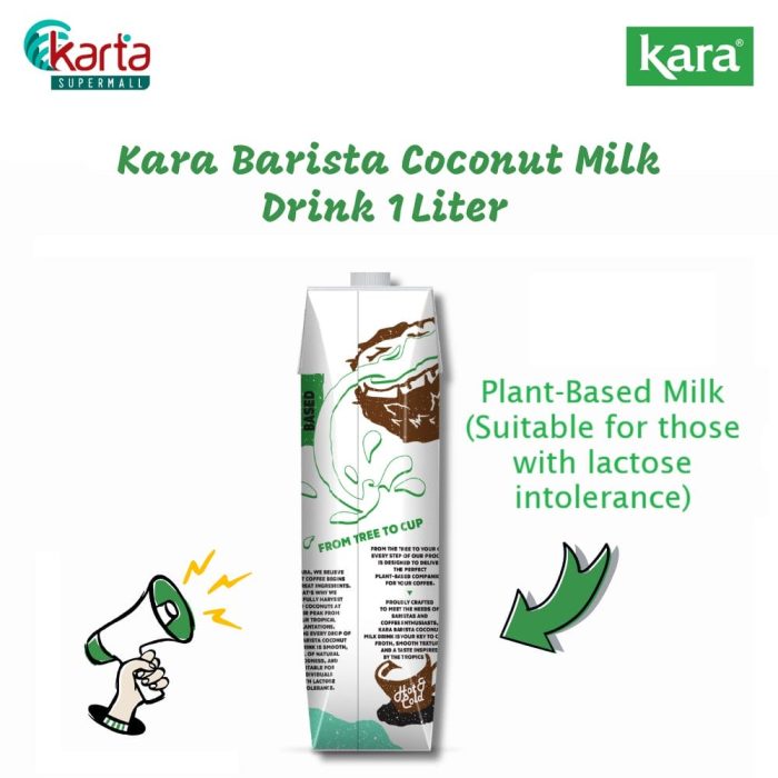 Kara Barista Coconut Milk Drink (1L)