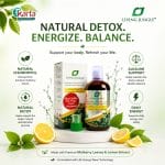 Living Jungle Wellness Beverage Collection